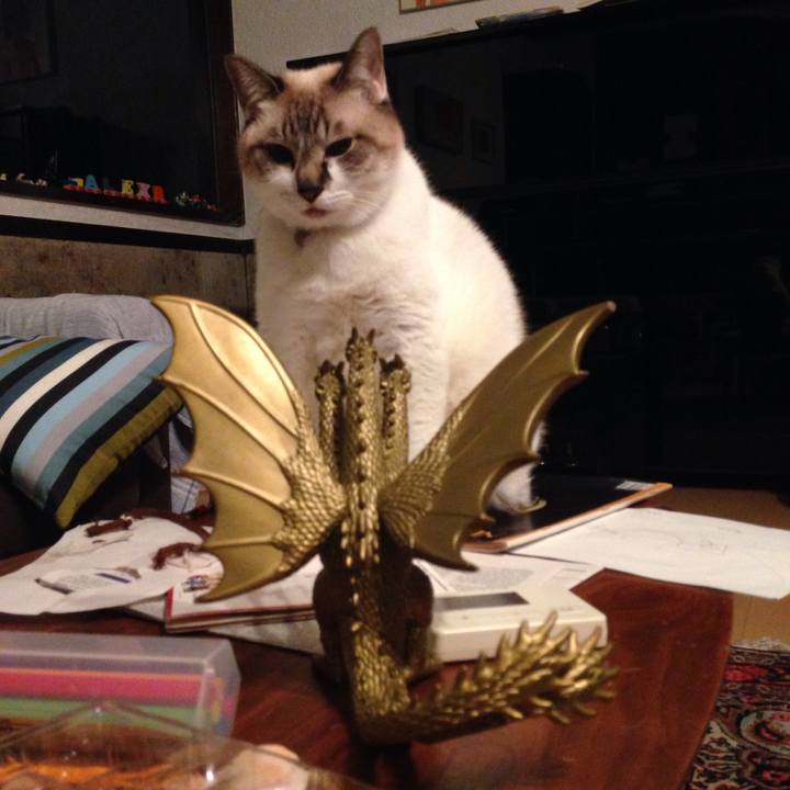 87170b0c 39b9 497a b864 baaa5bb45fea