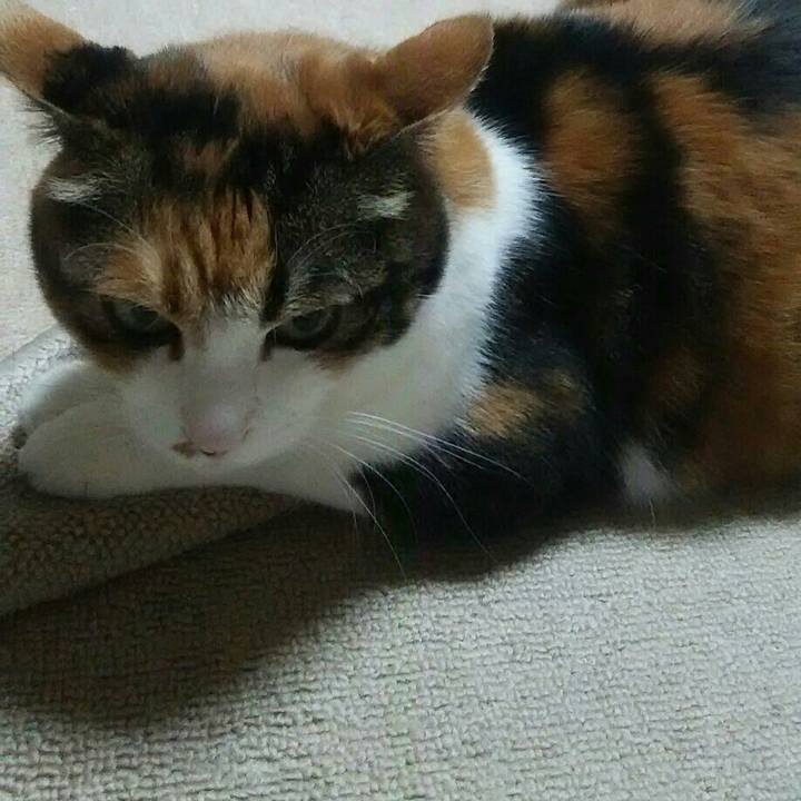 871741b6 e32f 4829 99b7 010f2ad68134