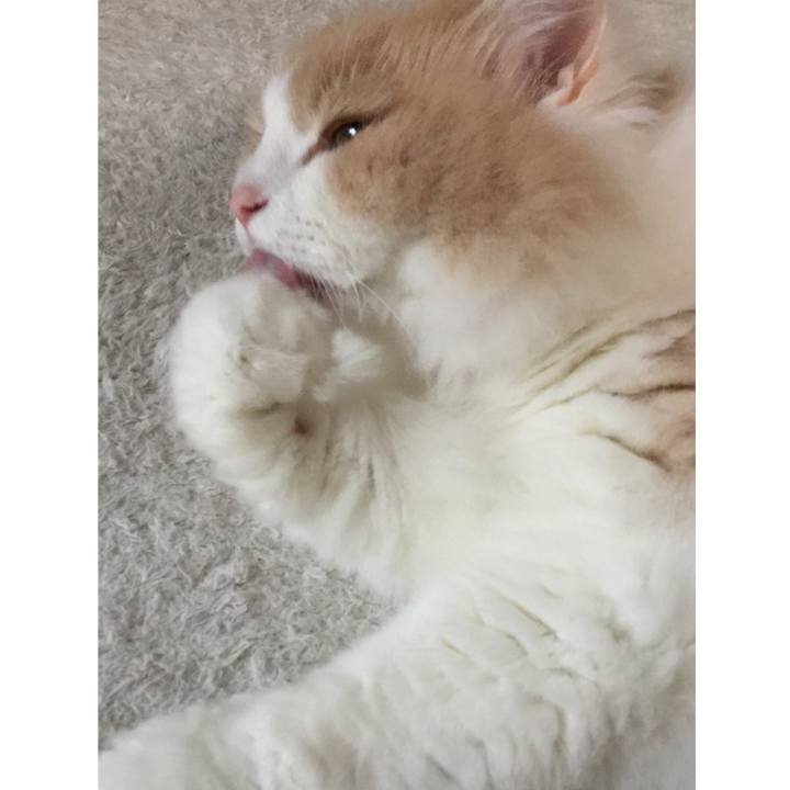 87175ad2 c63c 4212 8cbc a7a9fce7712d