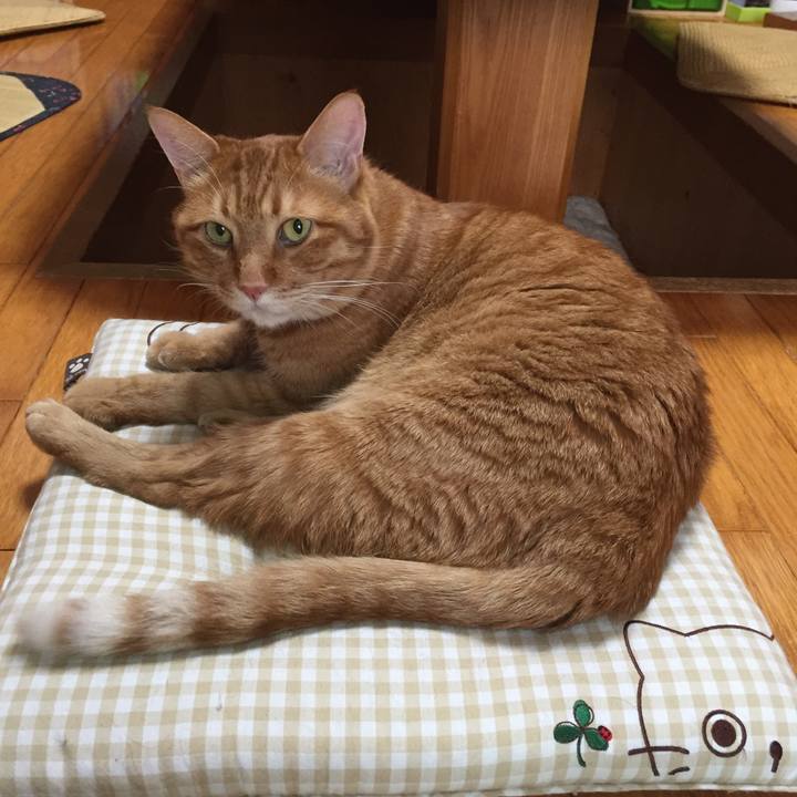 87176ea9 7125 4163 9ee0 8aa2fb364291