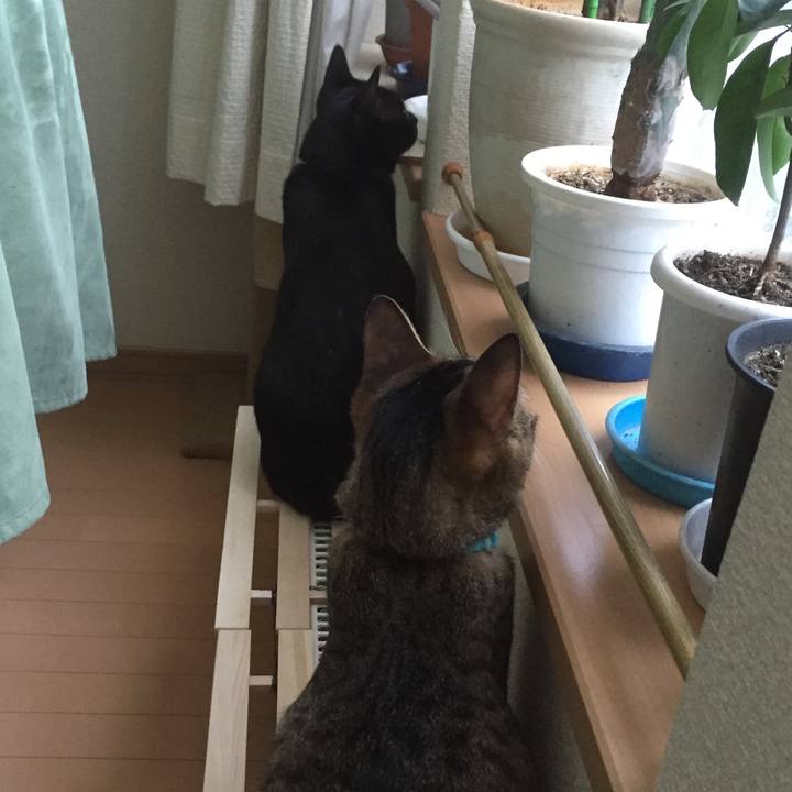 871789a3 f93f 45bf aec3 c790daeb7418