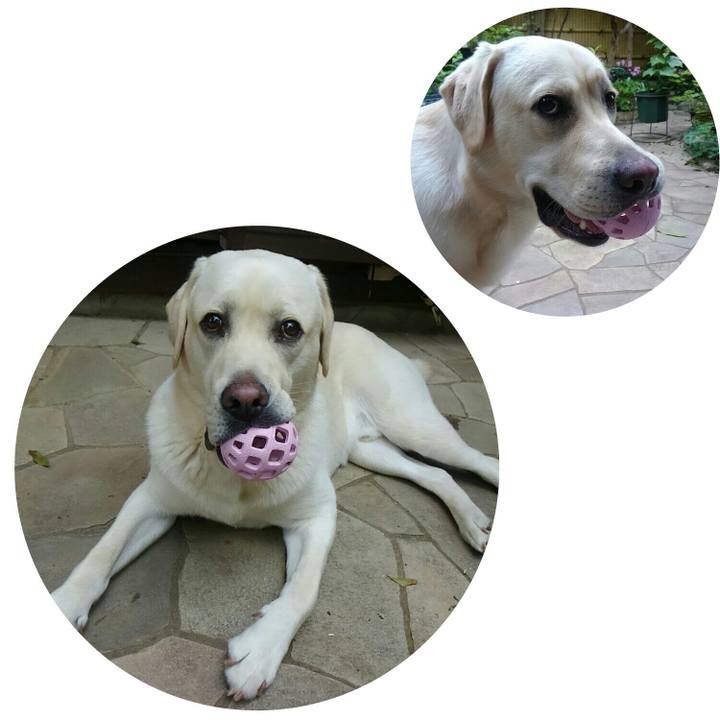 8717a1ed fab2 4c0d a092 d6c369c30585