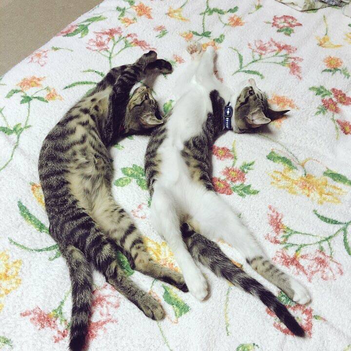 8717f64c 35bf 4c16 8357 ca47a112a27f