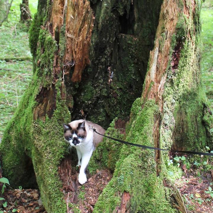 87180aef 7356 4a4f 944a 75e8b9f8825f