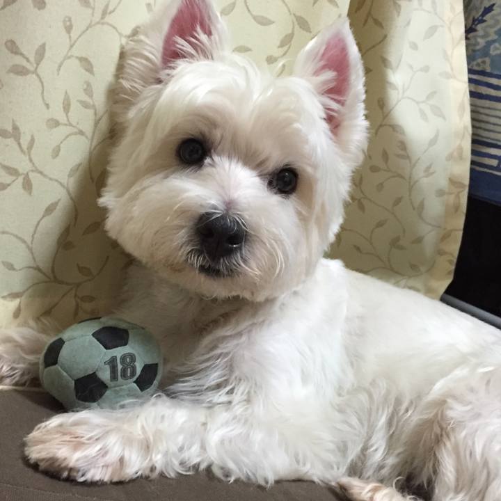 8718612a 914a 4ff2 9f56 3a1ebd76ad69