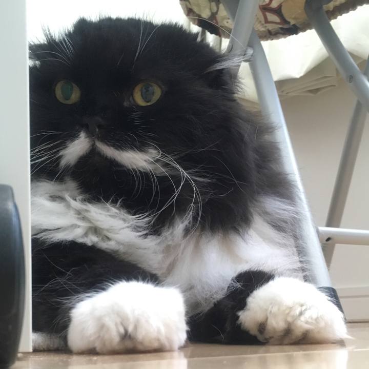 871914b0 8eef 453b aefb ef4bb7b191d2