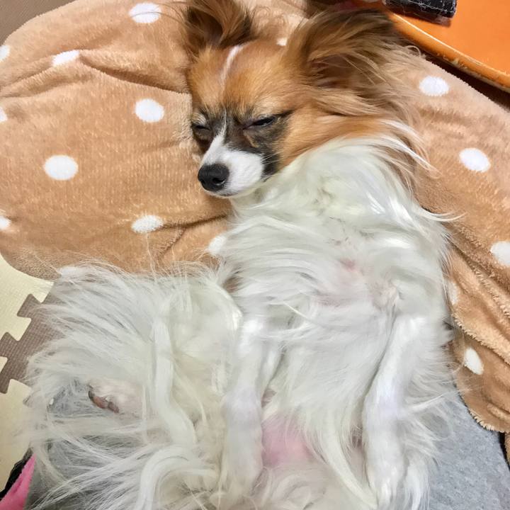 8719a33c 9349 4a99 91b4 d1e70a6cb35a