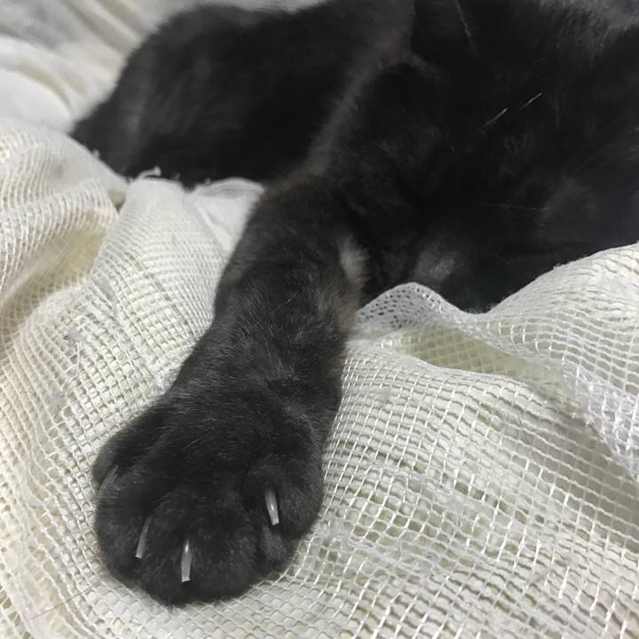 8719b989 a0e7 4d90 a5bb d5b19a61f7ca