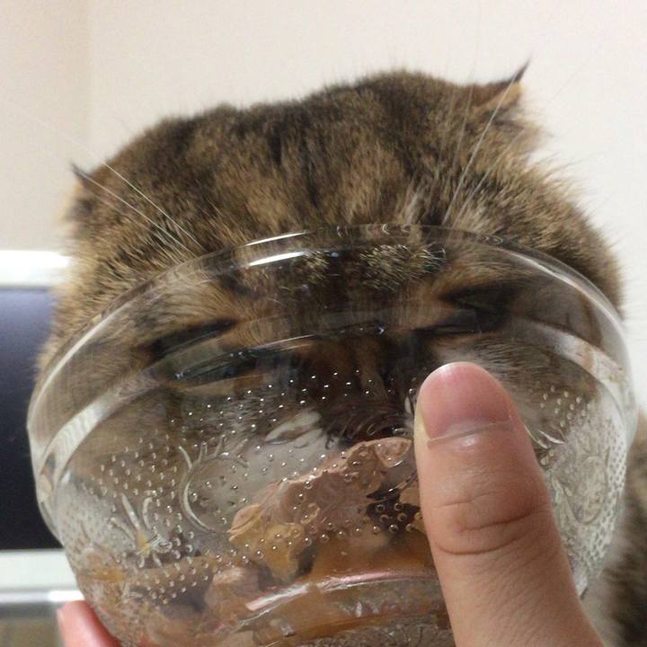 871a16a5 e801 45a6 b275 e8c411bd670a