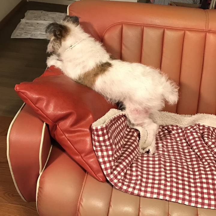 871a36d1 b6ae 451f b862 3f8e8bc3a8ad