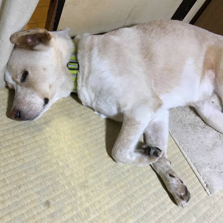 871b4cb8 e622 4836 b6cf 7e746c136889