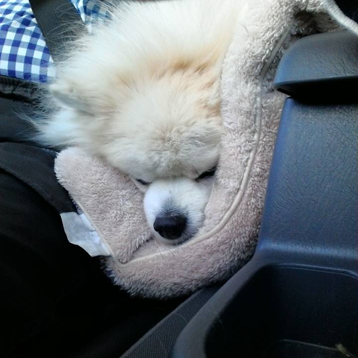 871c3780 23af 4865 86a2 4c65452e407c