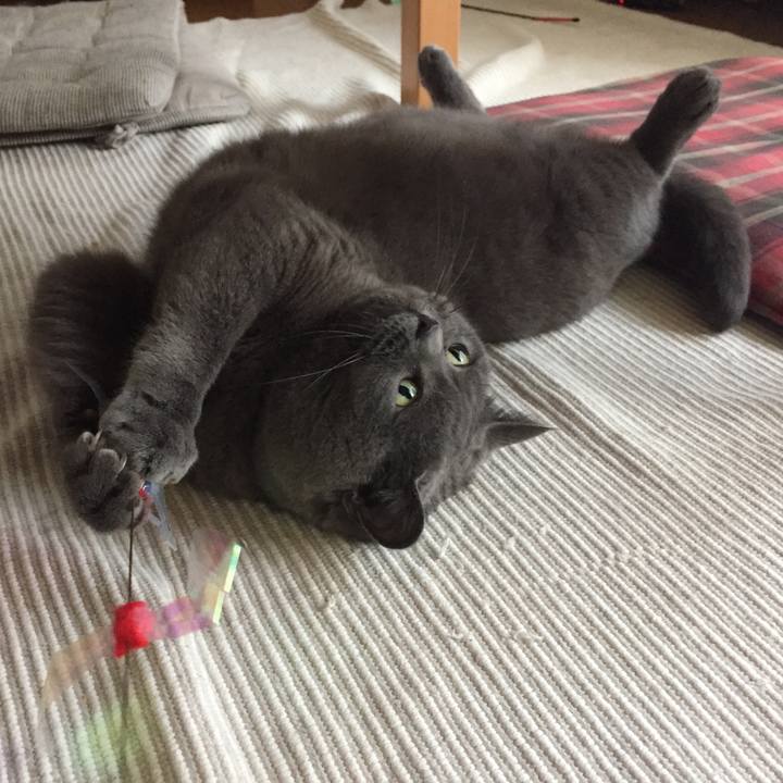 871c6899 07d0 4464 8766 26937a17ced5