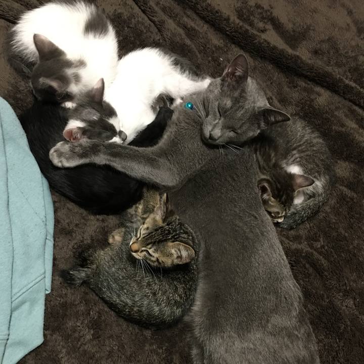 871d2289 4c8e 49dc 9602 783c921b94bb