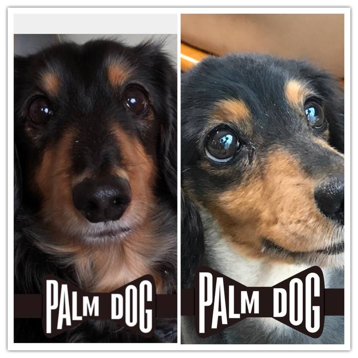 871d4550 1a2e 40b0 82a5 4e8d9fc52be8