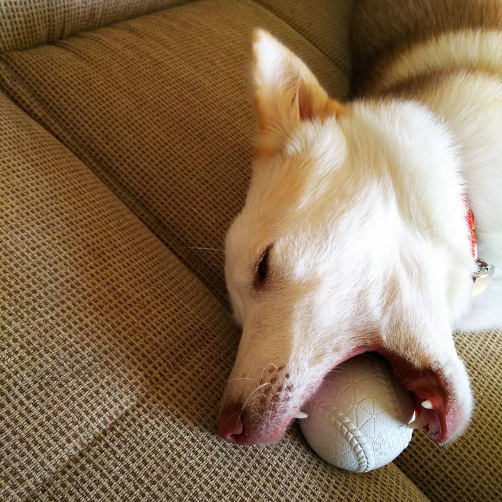 871d5fef ad1a 49ea 80c2 87eae513b0c5