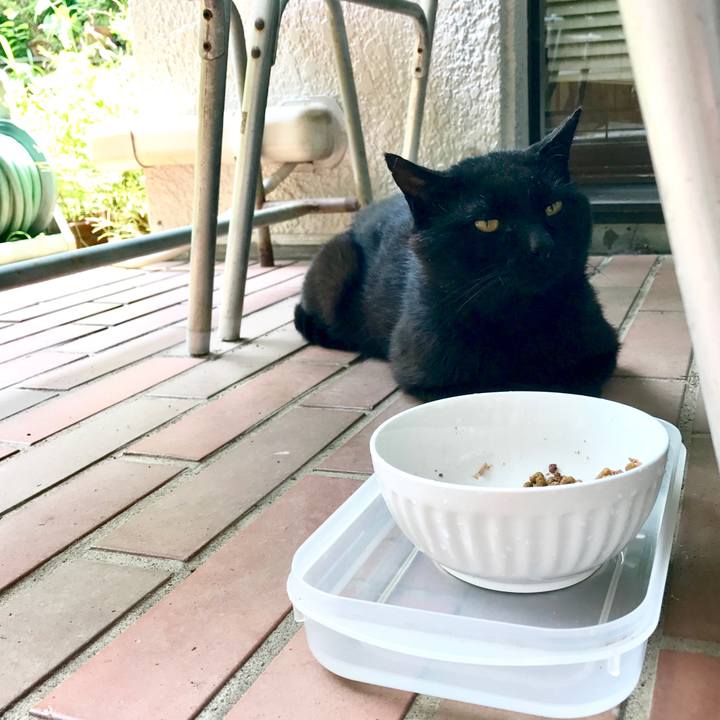 871dae2f 8103 4b00 b321 e1fa627667aa