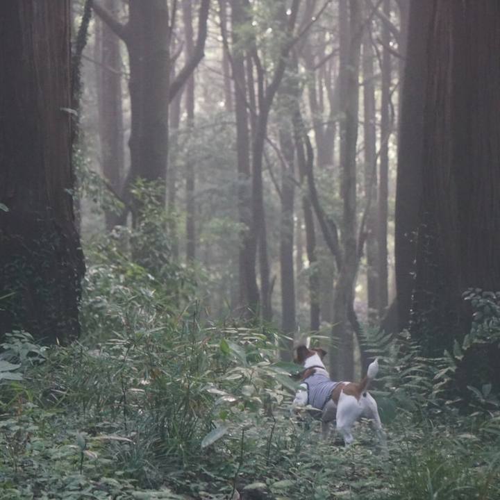 871df25f bb88 4f59 b08f aaf9ca979988