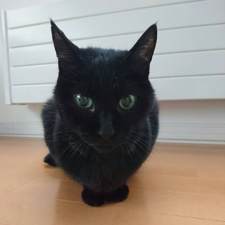 871e709a 8de3 4528 aa3d d0996a6fdefb