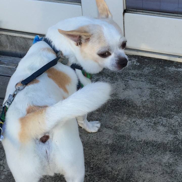 871f0374 5b58 4238 85cc 43bdc44c362a