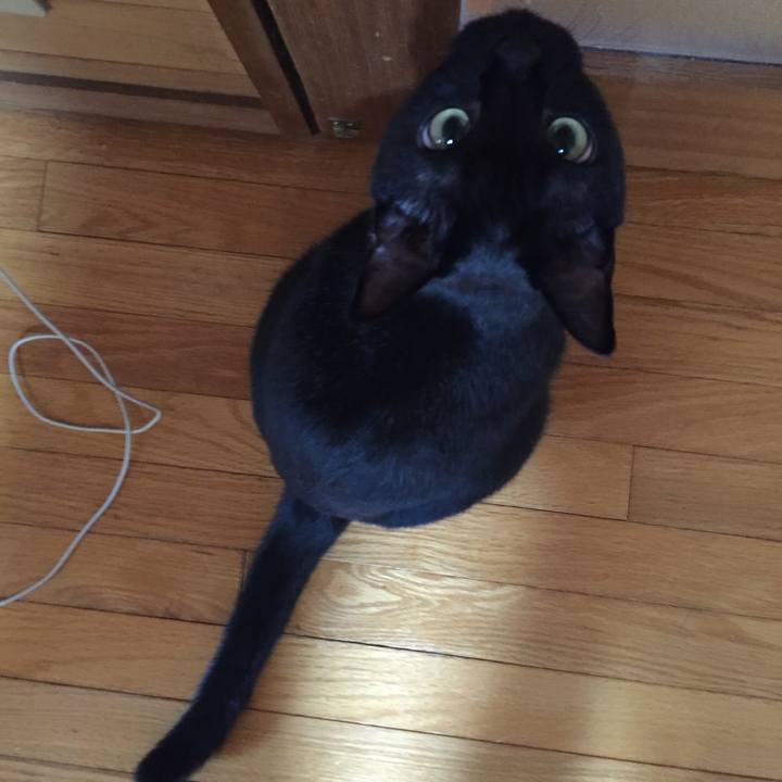 871f8ae2 ac62 4f84 b307 e6bb8dda0843