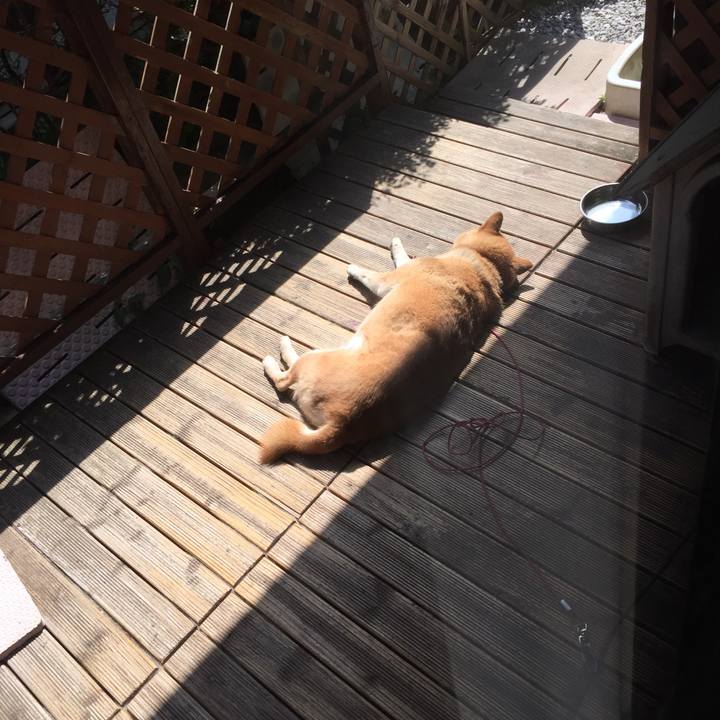 871fee7b d298 42bc a197 0951ba5b9f13