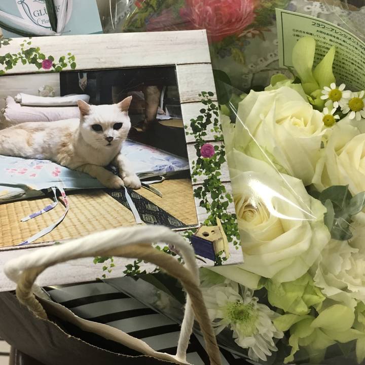 87203c0d ecb0 4983 bb2e d3e5795e4a97