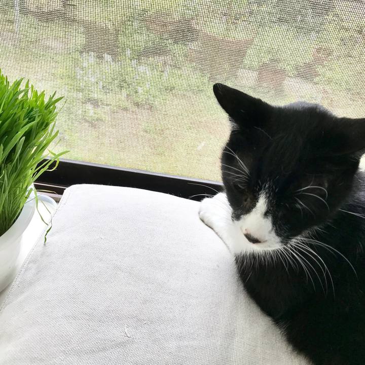 87204bc5 326a 464e a496 5ea41ff4d43c