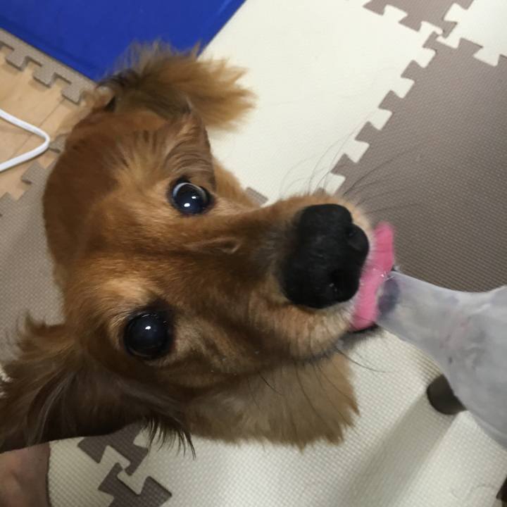 8720bf83 da29 46c4 986a 61b72eb8a1bd