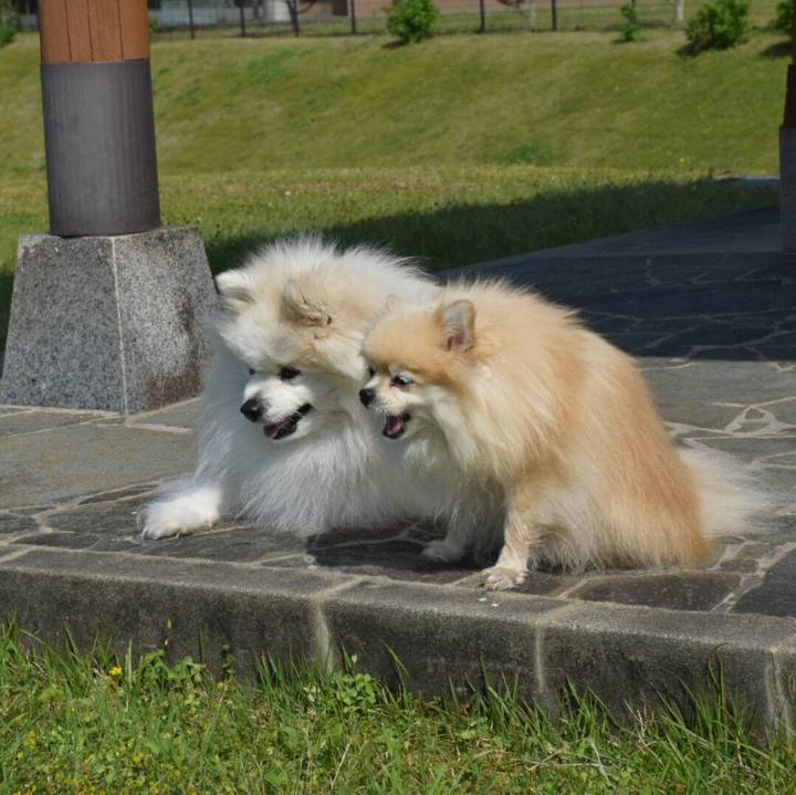 872109d4 7191 4196 897f 13088b92b72d