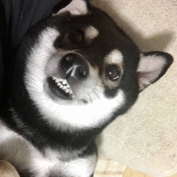 87219a3e 9bab 4187 b544 0437648bfbaf