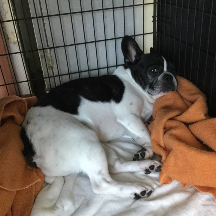 87219ae4 bcab 4953 b735 c6d31f4caa17