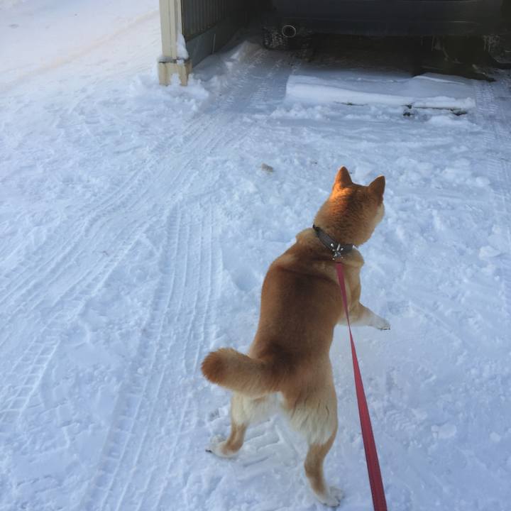 8721e322 f17b 4051 9696 0d4ab90ec3a5