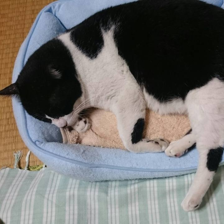 8723be4c 4639 4835 b559 ff7582ba7179