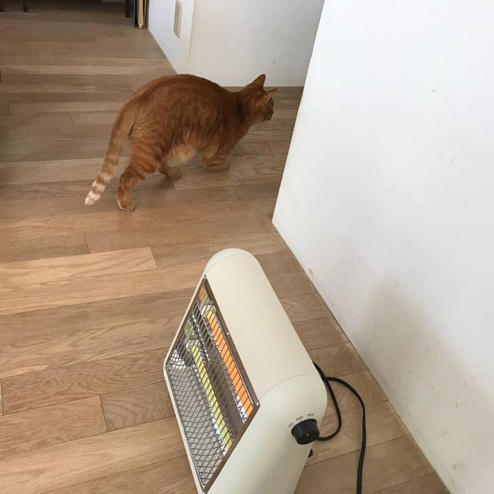 87252b81 c82e 42c0 bdb0 8202fb21a74c