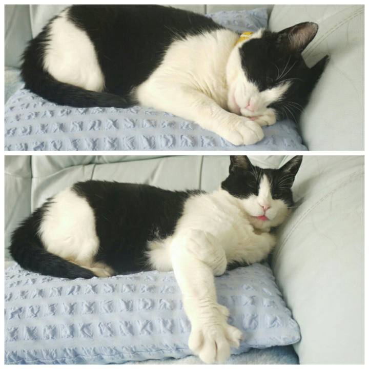 87252f47 c566 4f78 a530 a8440ed1a6a3