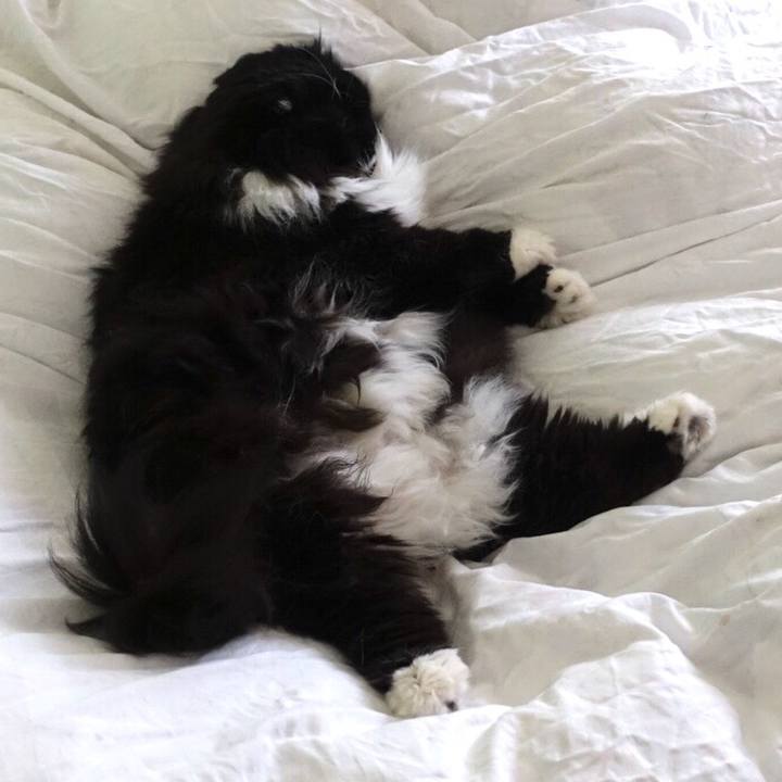 87253b33 1708 49f9 9b8c 6995b813da88