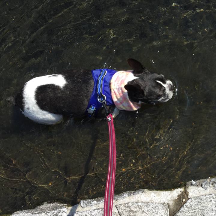 87254fff f947 4b63 98e0 4cb47ba9e49d