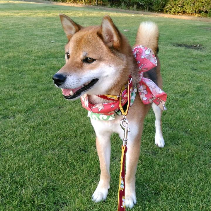 8725b8e7 8346 4d55 a988 fbeecf081c27