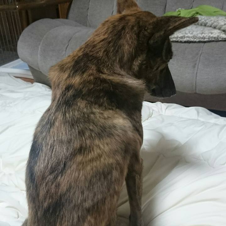 8726020d 9a08 4ac3 8f4e 6ebfcd30ea6e