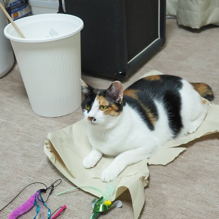 87267015 2cdd 4872 af8c 22547c88a3c0