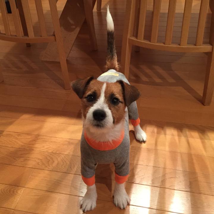 872679f9 c3f4 461d b64b 838fb9936d4e