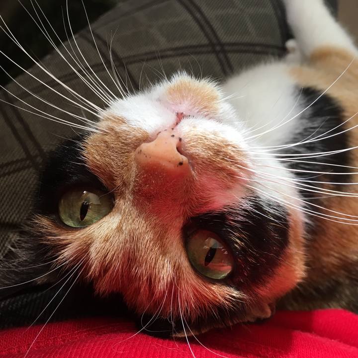 8726cc42 94f0 4bfa 95b4 e5ebe701305c