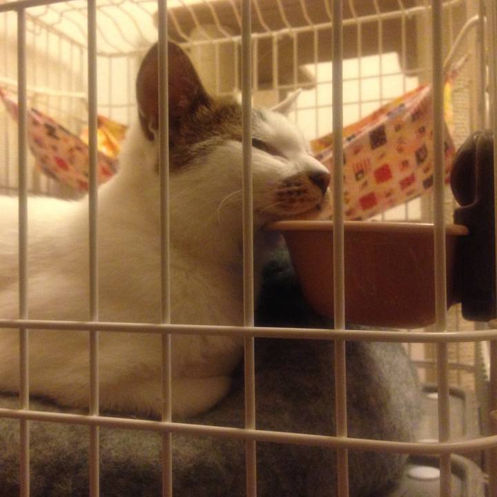 8726e693 8ca6 4fb3 a51f 7982d6f264a2