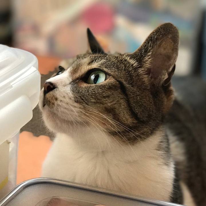 8726f4ae 086a 4065 8988 01fdc4986e1f