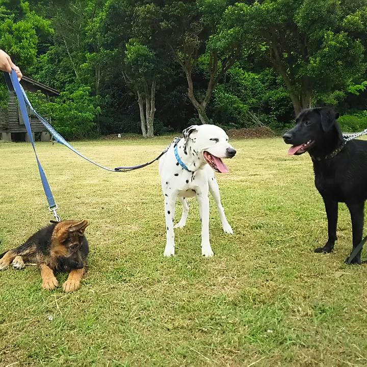 872725c2 0b98 4d9f aef5 586e741a7409