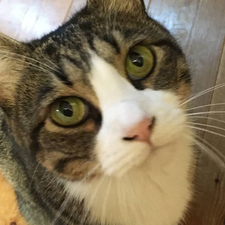 8727a47e 5101 4c60 9113 64d896f48427