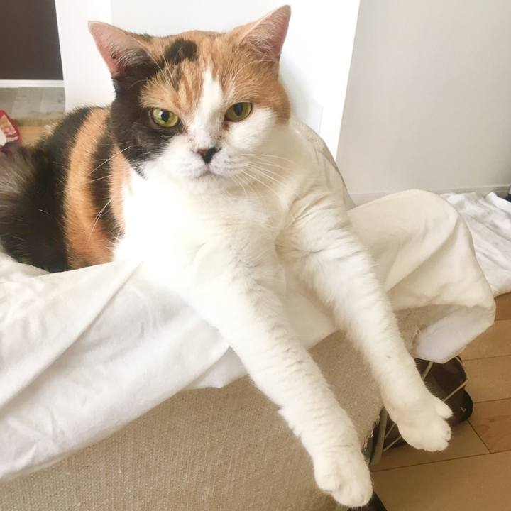 8728204b 5888 4c73 9cb3 54e360eba4af