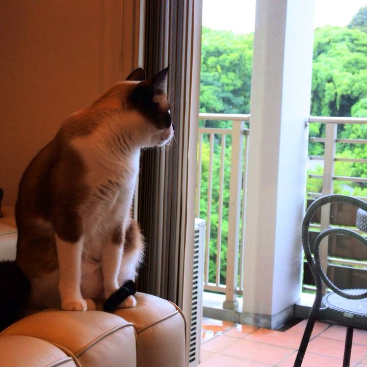 8728afd3 365f 4499 8120 2e7f52a90d1d