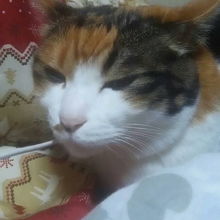 8728c774 5fd5 431a 97ee a42ff7c58284